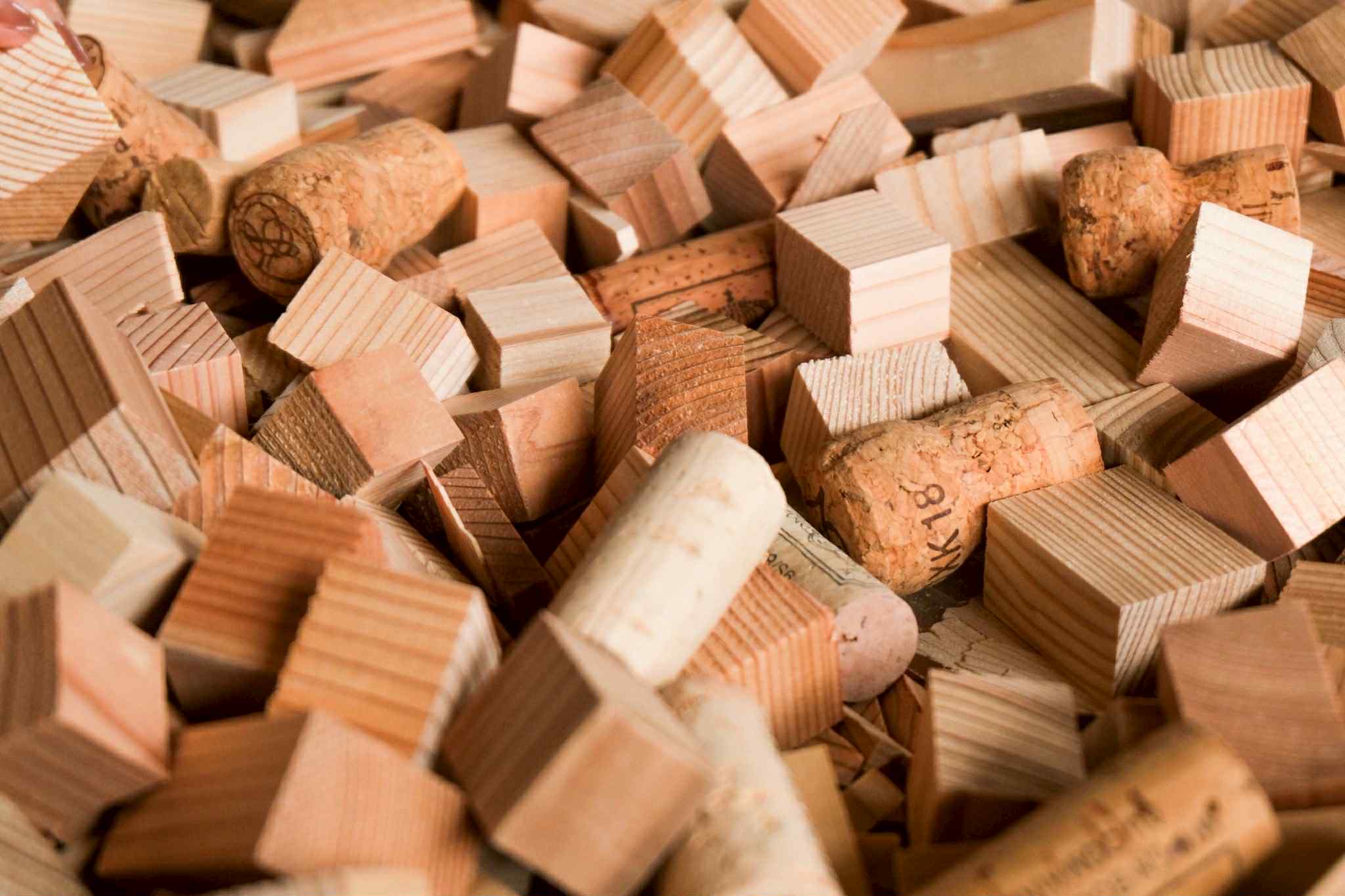 ワークショップの材料